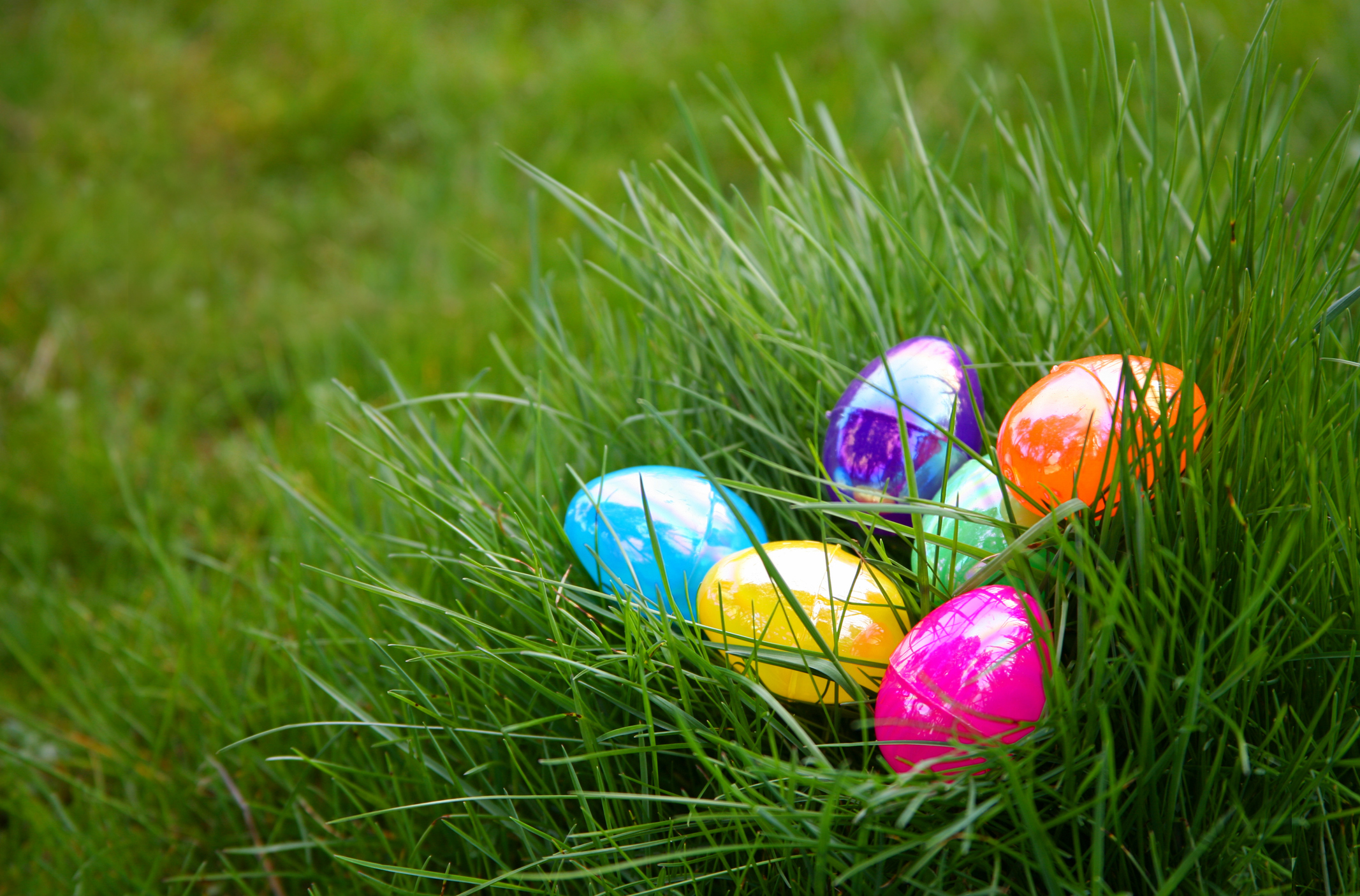 Plastic Colorful Easter Eggs in Grass